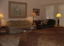 Executive Suite Int